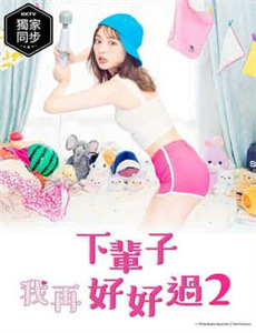 芝加哥警署 第十季