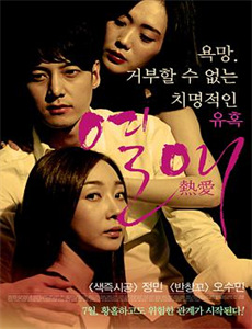 钢之炼金术师15周年