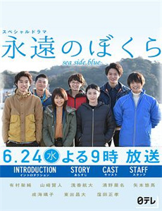 海贼王8:沙漠公主与海盗们