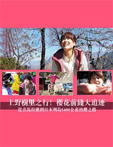 第五大道 第一季