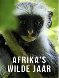 我用真心换白首